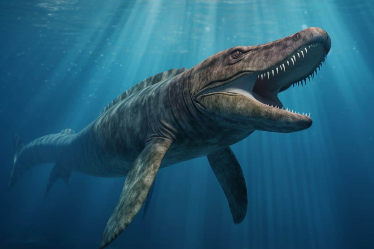 Mosasaurs swimming about in the water.