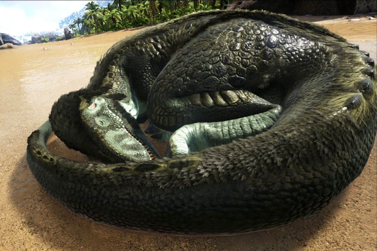 sleeping megalosaurus on the beach.