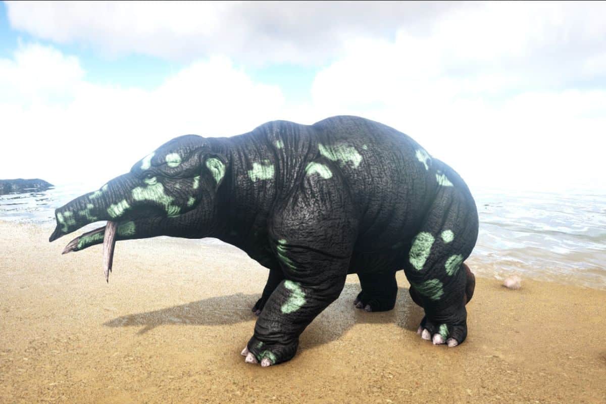 Big phioma on beach with water behind.