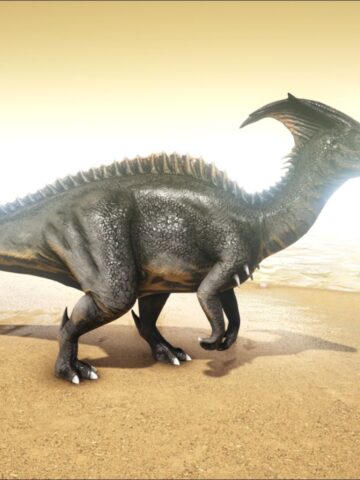 A parasaur on the beach.