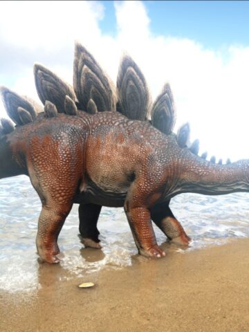 Stego by the beach.